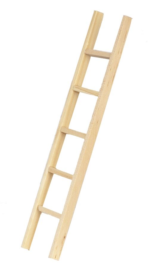 T8444 6in STRAIGHT LADDER