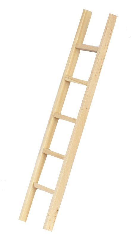 T8444 6in STRAIGHT LADDER