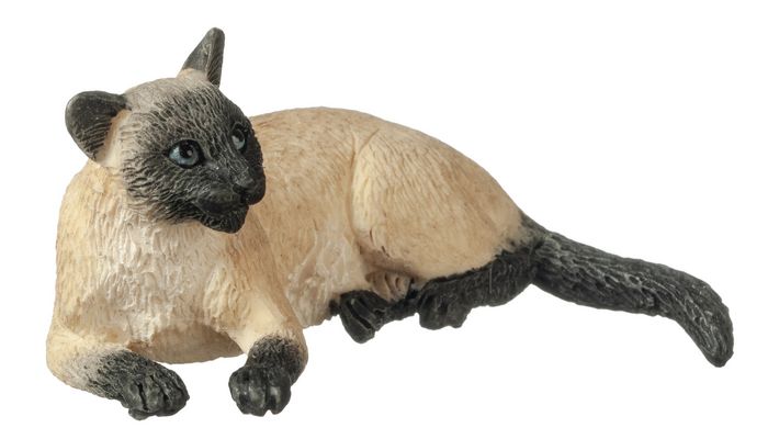 A6010 LAYING SIAMESE CAT