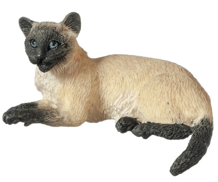 A6010 LAYING SIAMESE CAT