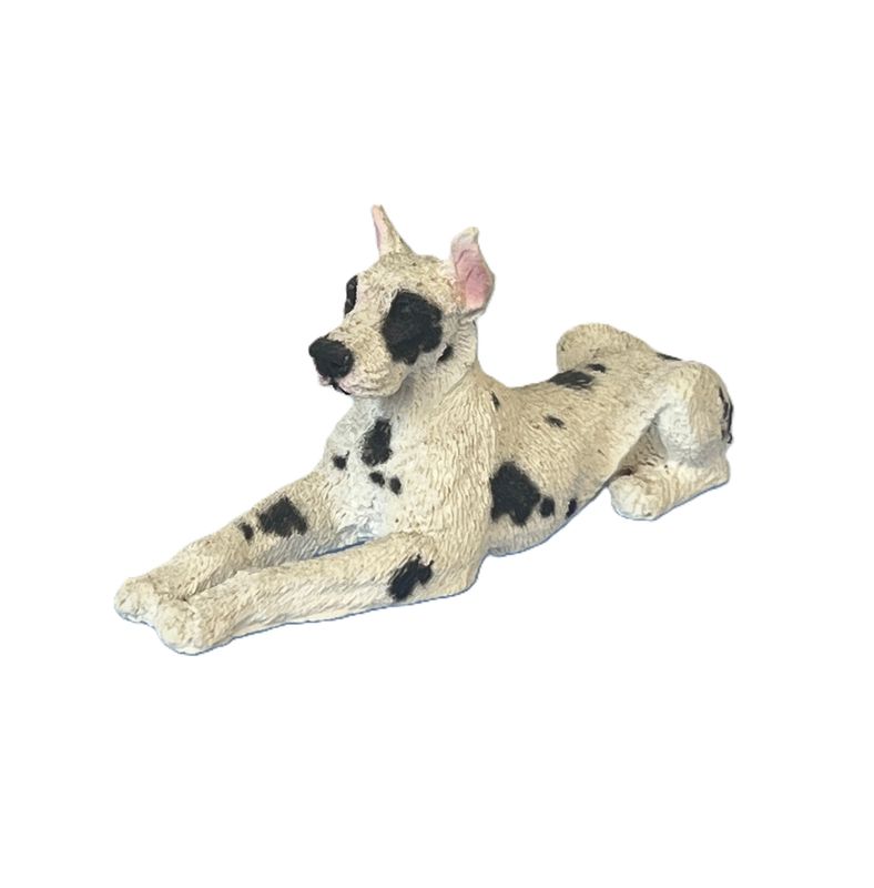 Dalmation