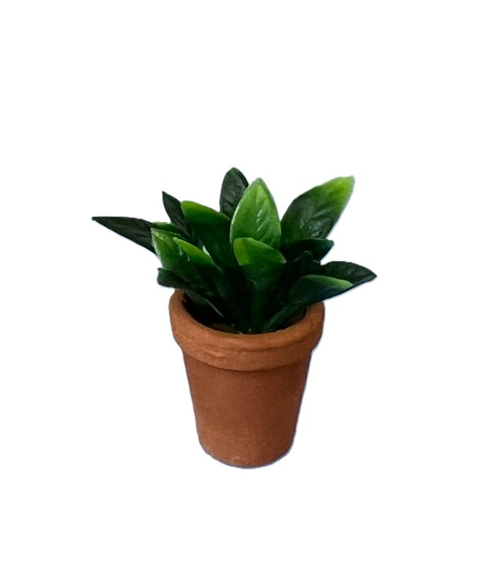 Potted green plant