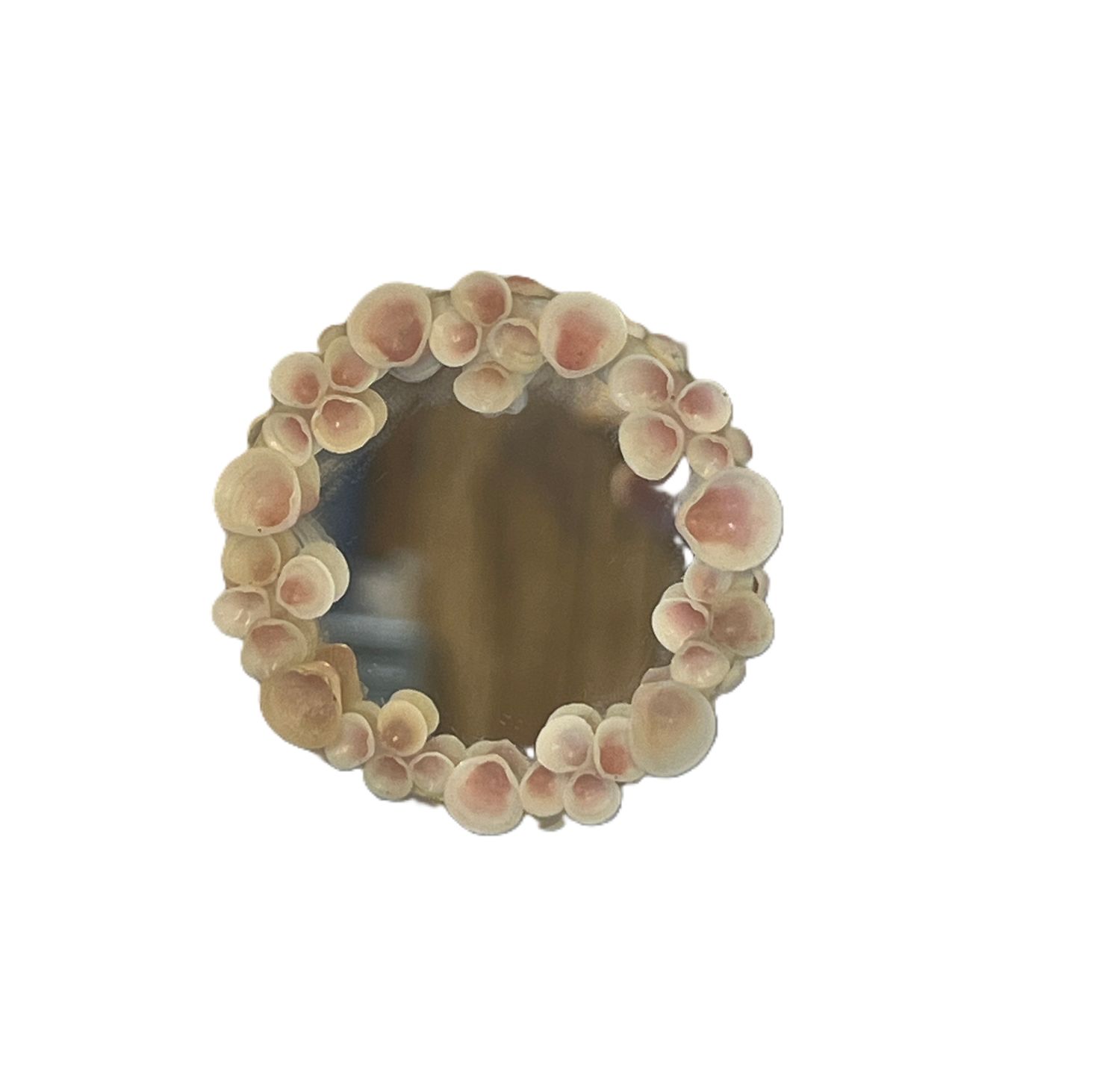 Mirror with Shell Frame