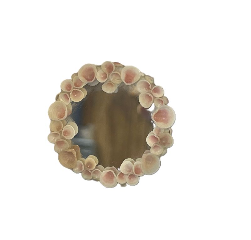Mirror with Shell Frame