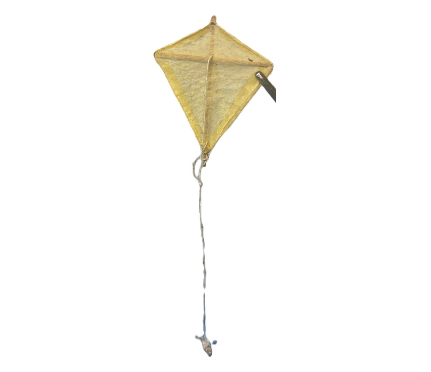 Kite