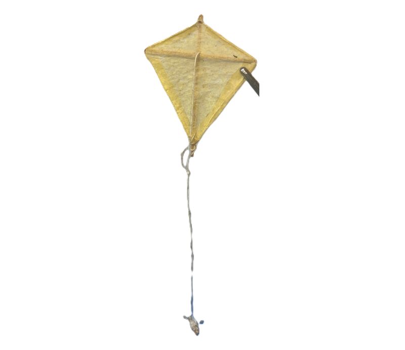Kite