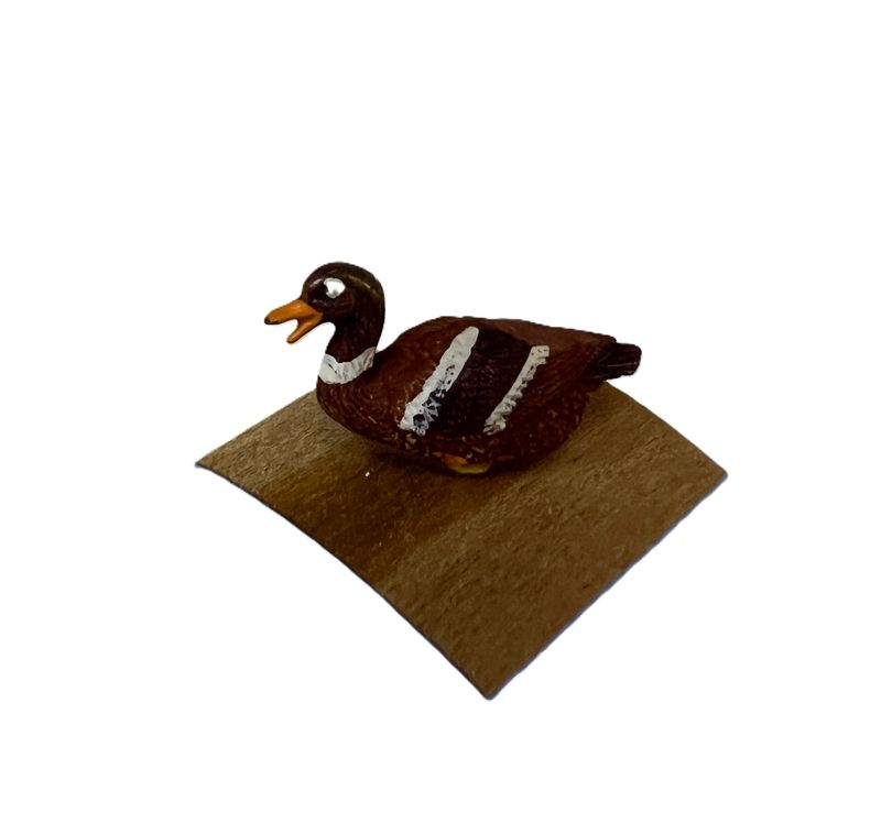 Duck Decoy