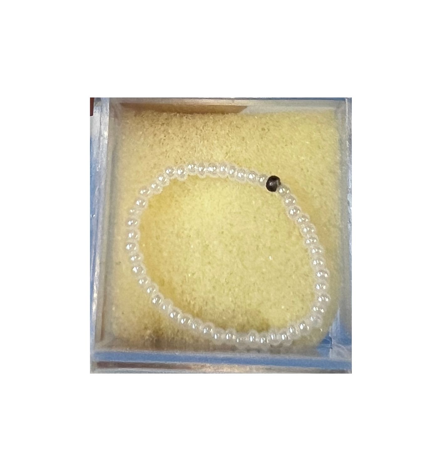 Tiny Pearl Necklace