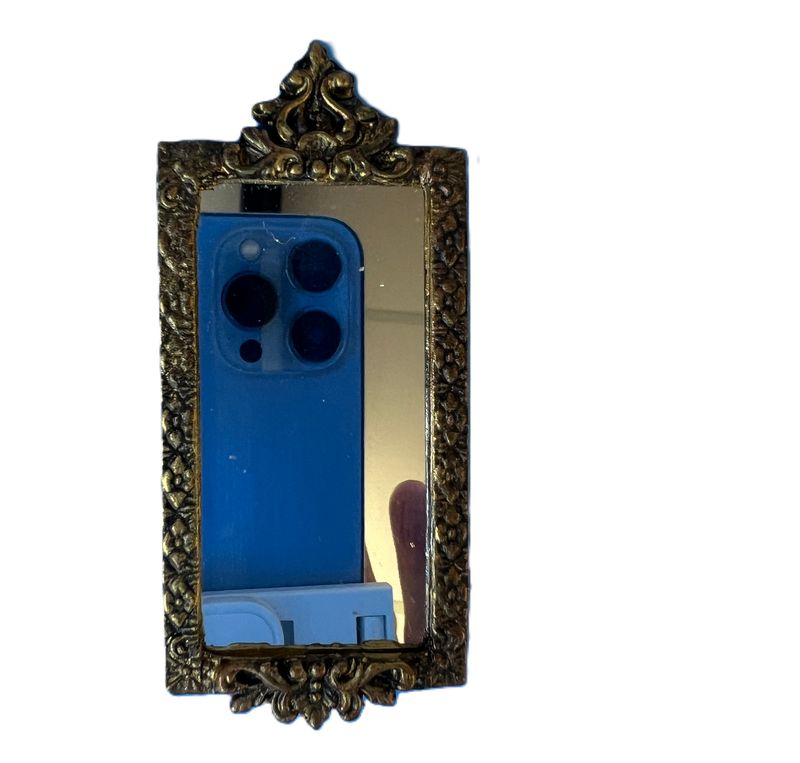 Mirror in Bronze Frame