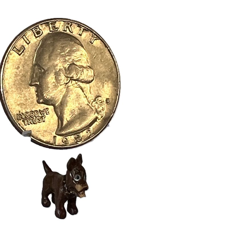 Tiny Dog