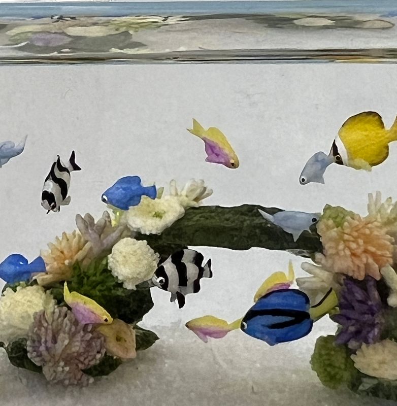 Lighted Aquarium