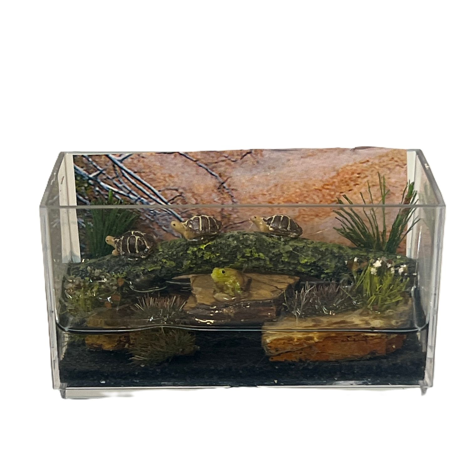 Lighted Aquarium for Turtles