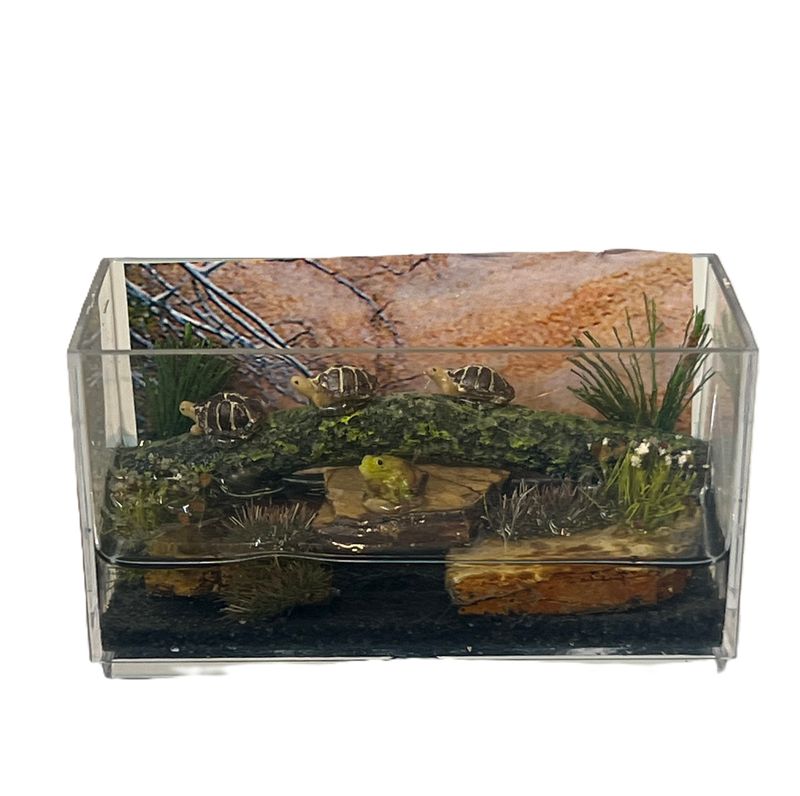 Lighted Aquarium for Turtles