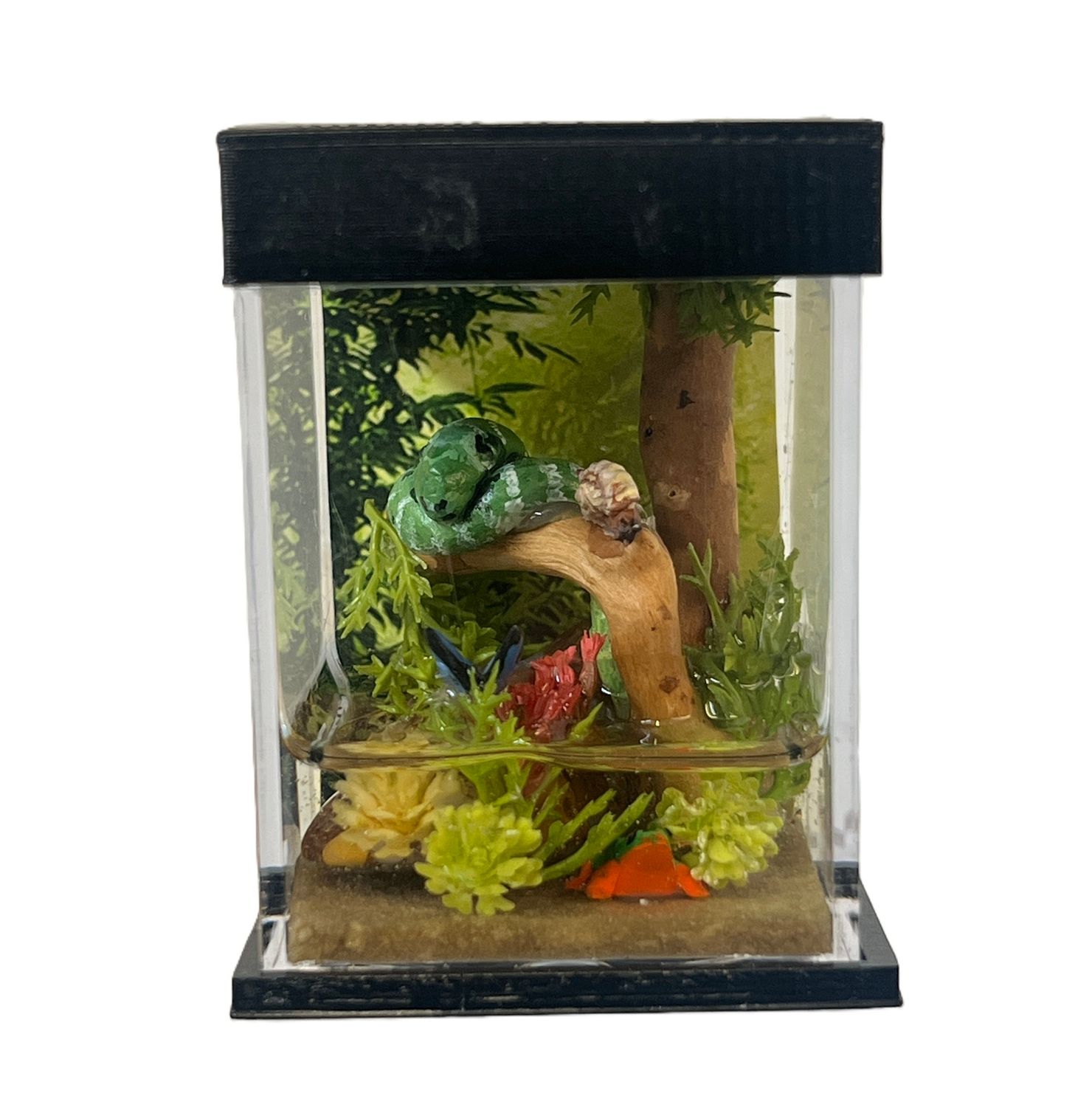 Lighted Terrarium