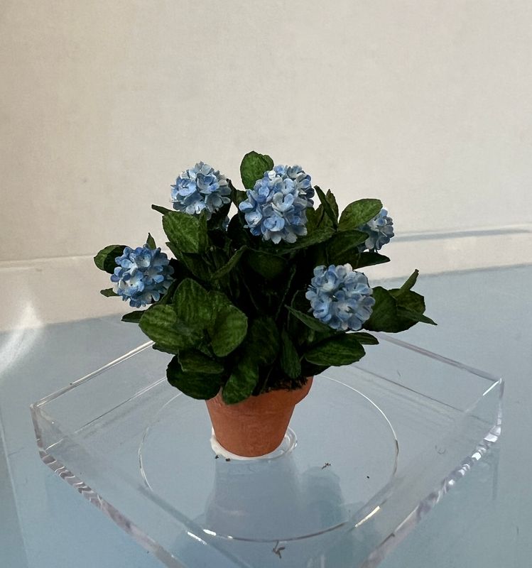 1/24th Blue Hydrangea in Pot