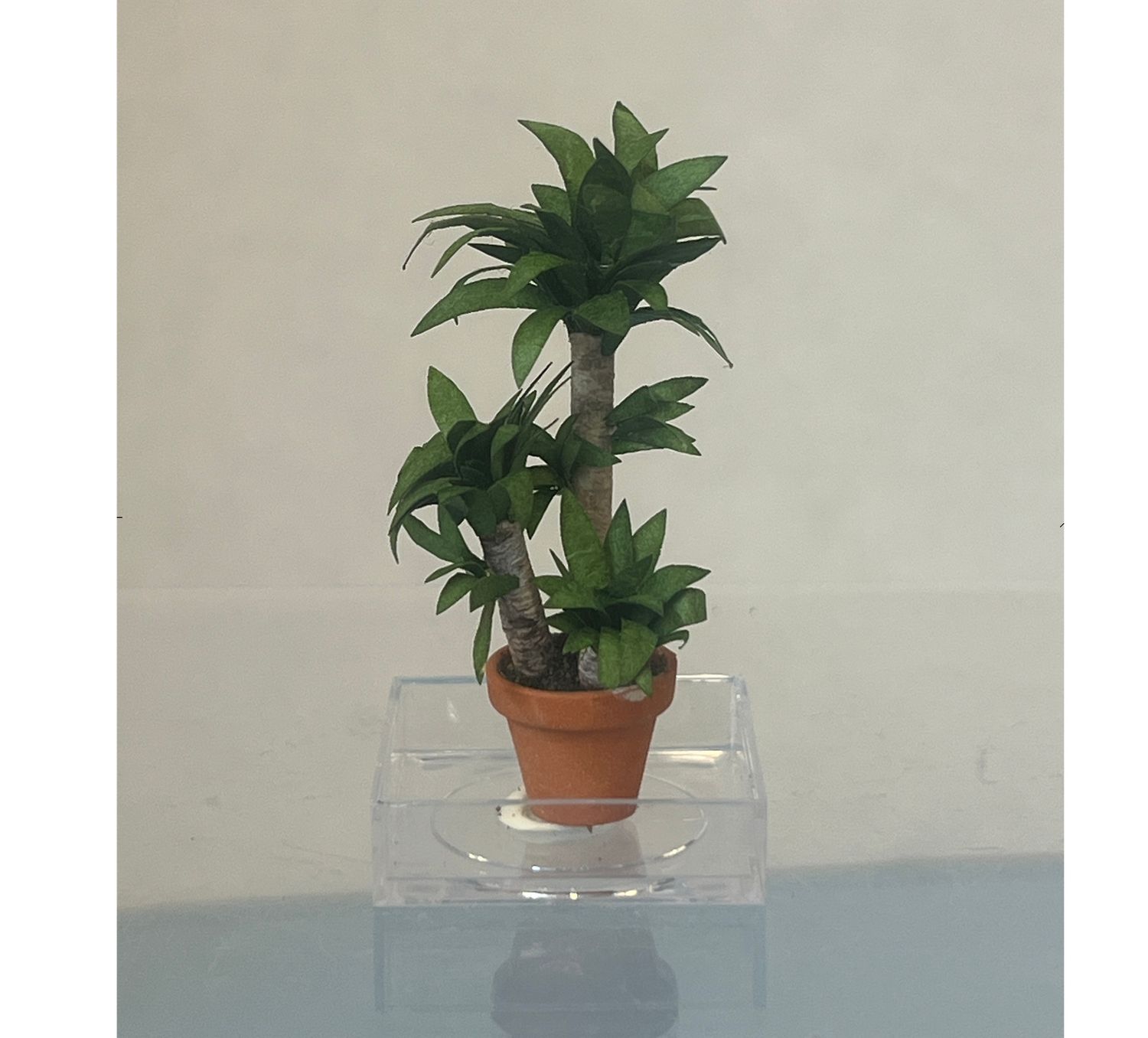 1/24th Yucca in Clay Pot