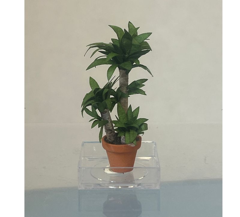 1/24th Yucca in Clay Pot
