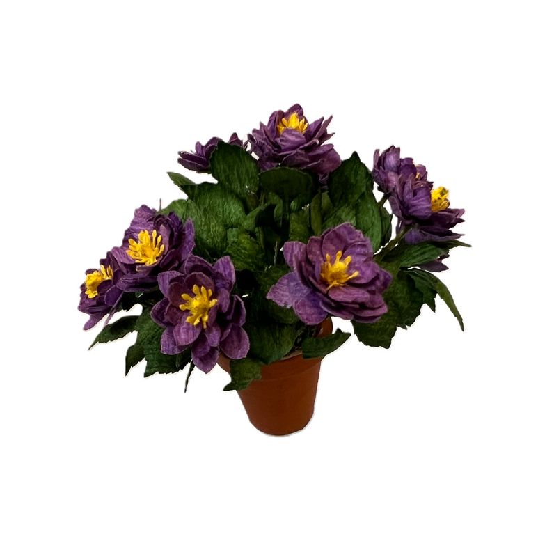 Purple Dahlia in Clay Pot