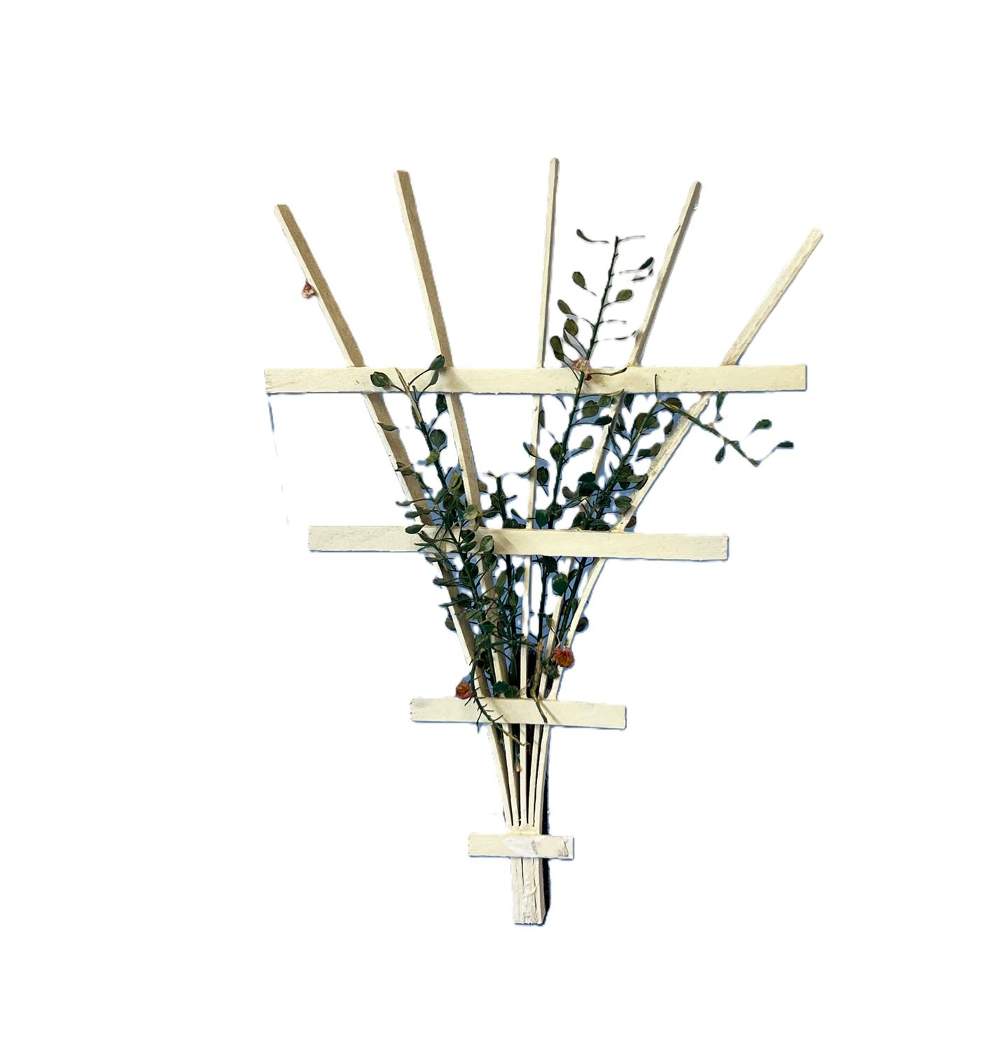 Set of Trellises