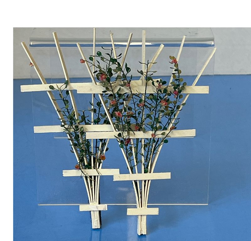 Set of Trellises