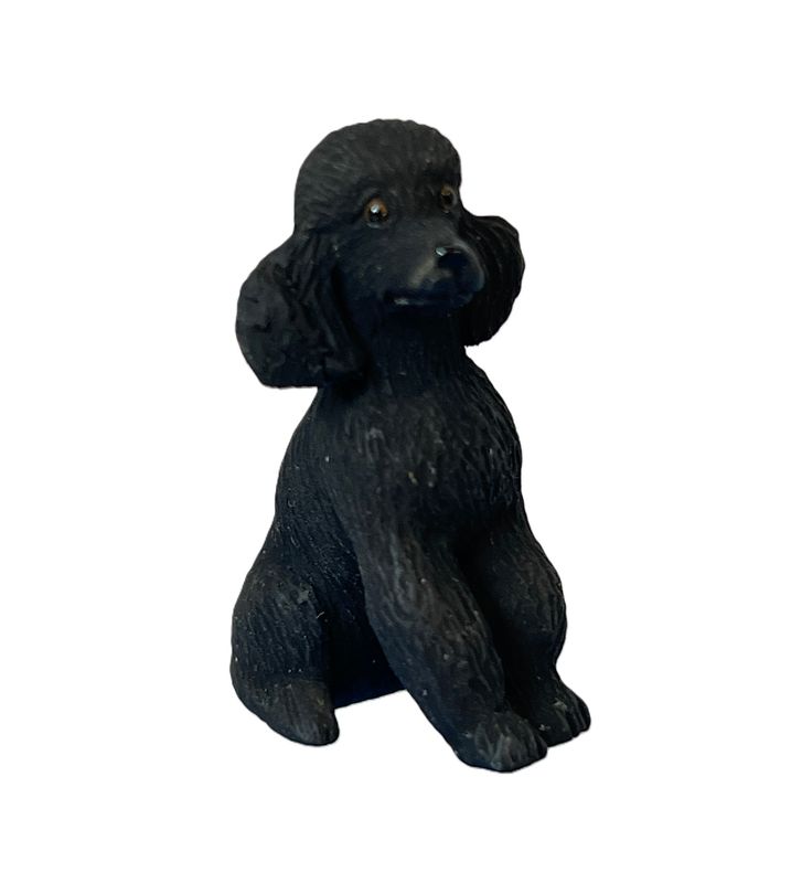 Black Poodle