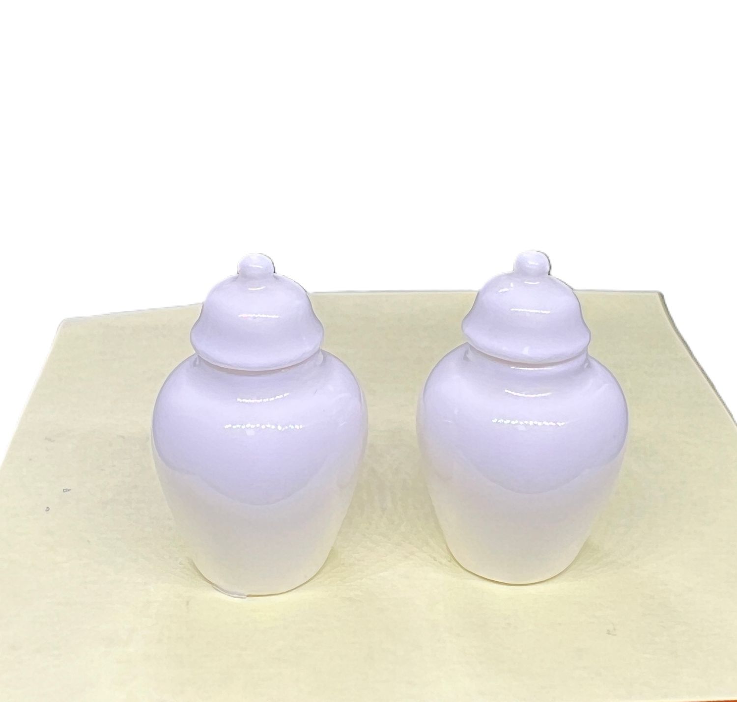 White Porcelain Ginger Jar Pair