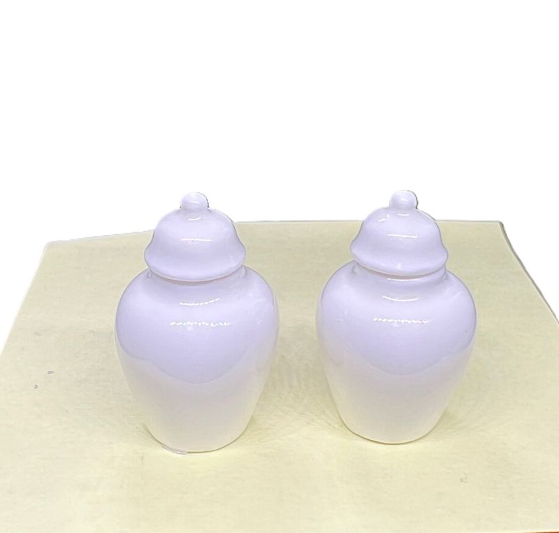 White Porcelain Ginger Jar Pair