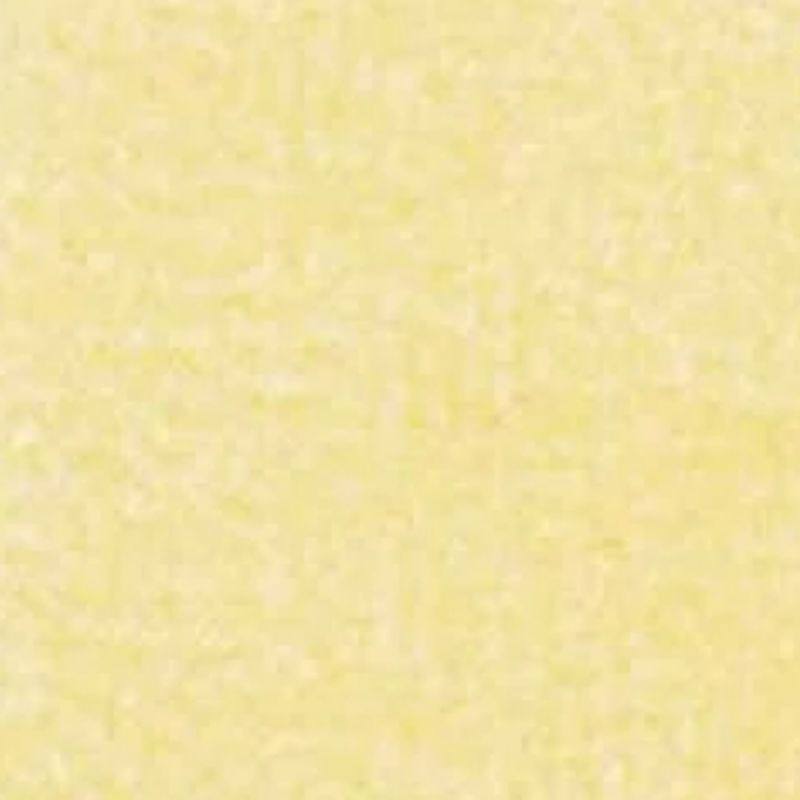 MG6169R - Carpet: Butter, 14 X 20