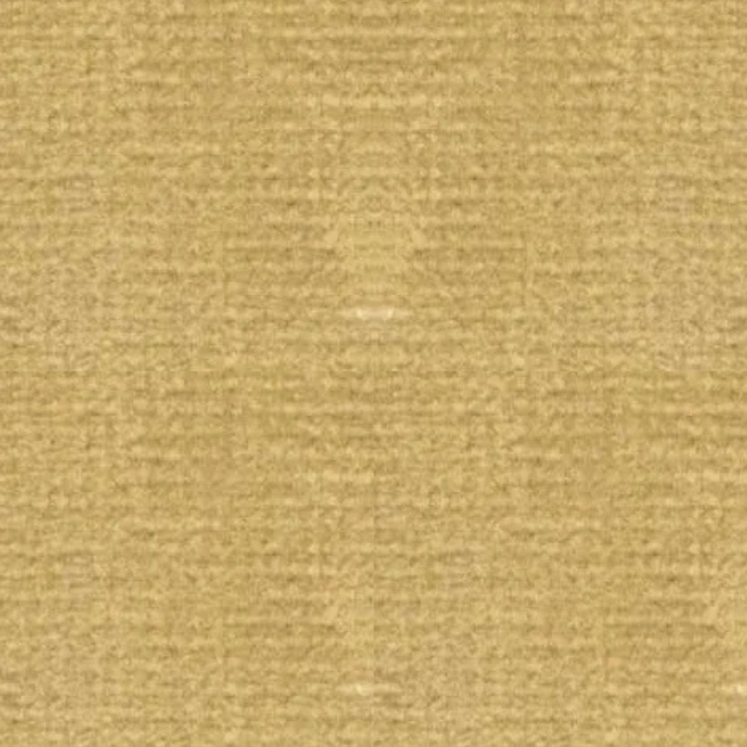 MG2345R - Carpet: Buff, 14 X 20