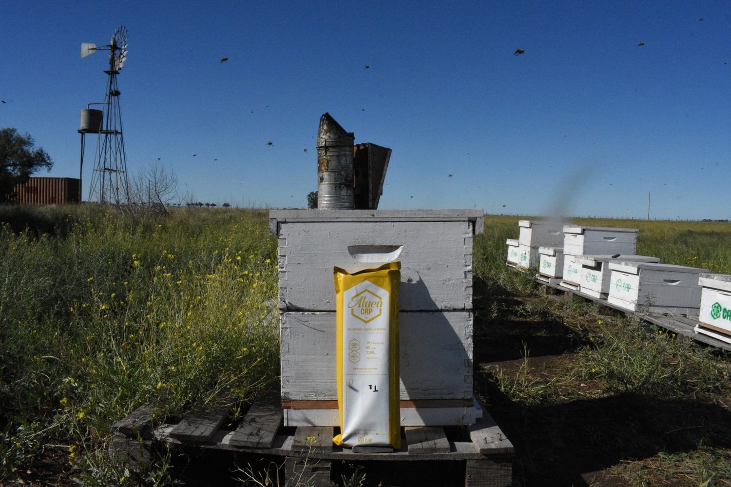 Aluen CAP - Oxalic Acid Strips - PALLET, Size: Full Pallet - 6480 treatments