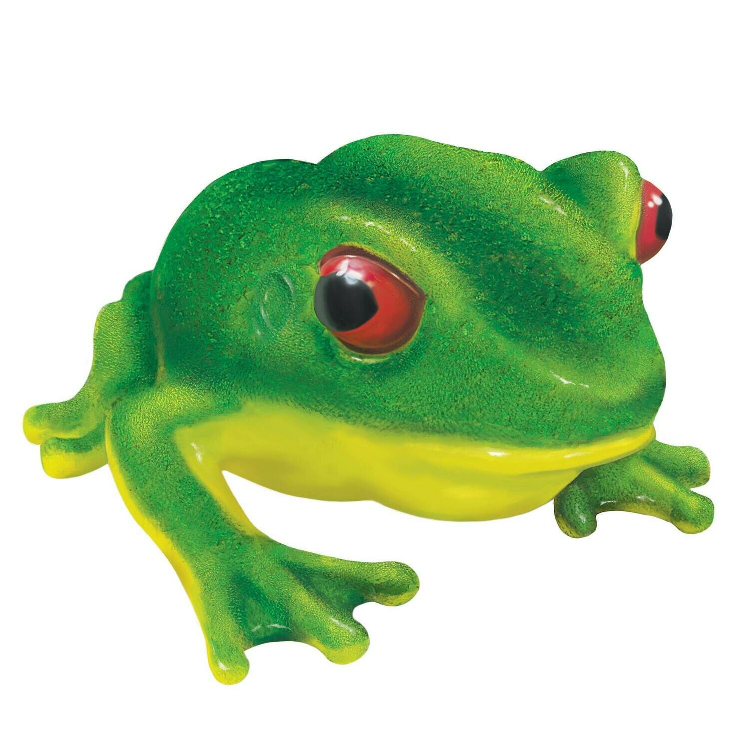 Billy Bog Frog Billy Bog Frog