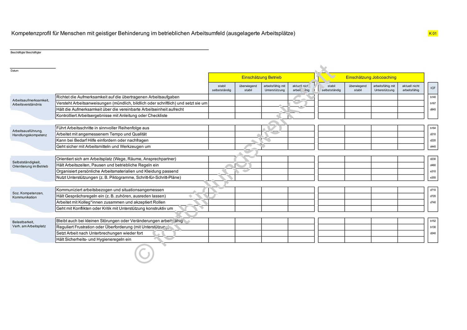 Arbeitsbezogene Kompetenzerfassung bei geistiger Behinderung (Ausgelagerte Arbeitsplätze) - Standard-Lizenz (Einzelnutzung)