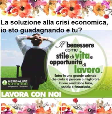 Kit Member International stai guadagnando quanto vali
