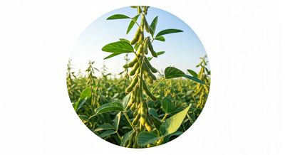 nutrizione ed esercizio fisico • Menopausa