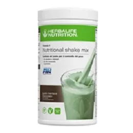 Nutritonal Shake mix  Menta e cioccolato 550 g
