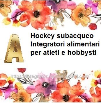 Hockey