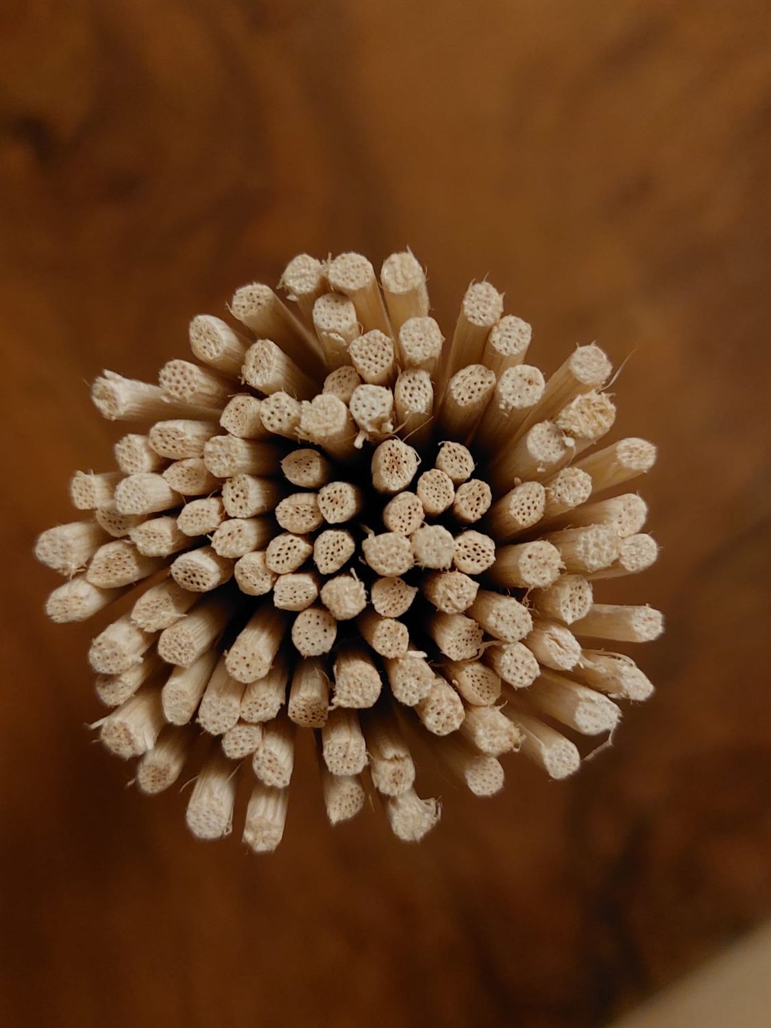 Patyczki rattanowe do dyfuzorów NATURALNE 20cm/3mm - 1000 szt