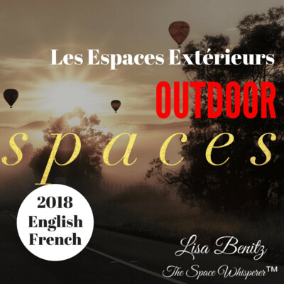 SSS 2018 ~ Les espaces extérieurs / Outdoor Spaces ~ English & Français