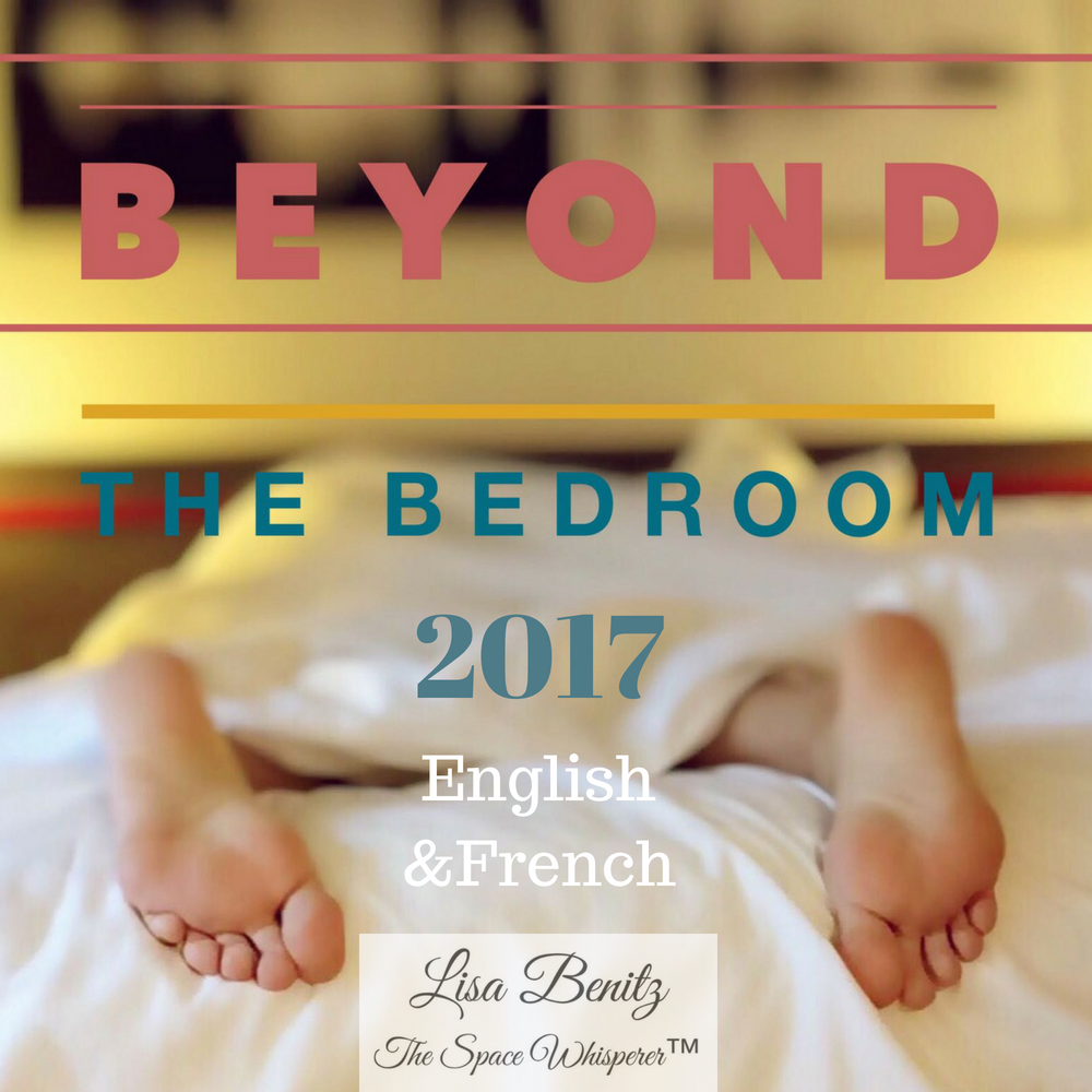 SSS 2017 ~ Au-delà de la chambre à coucher / Beyond the Bedroom ~ English & Français SSS 2017 ~ Au-delà de la chambre à coucher / Beyond the Bedroom ~ English & Français