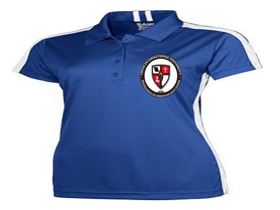 Ladies body Shirt Sleeve- T-shirt