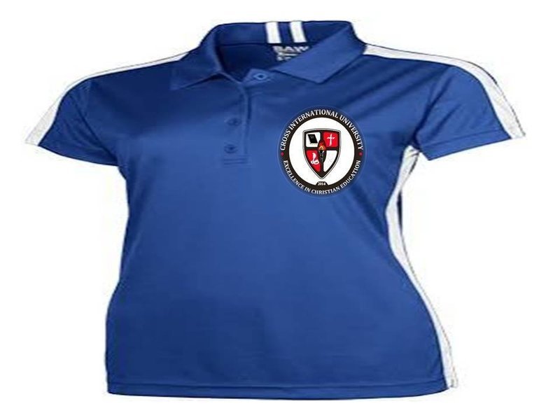 Ladies body Shirt Sleeve- T-shirt