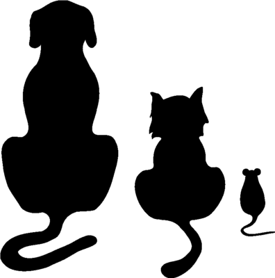 TEST PRODUCT WITH OPTIONS