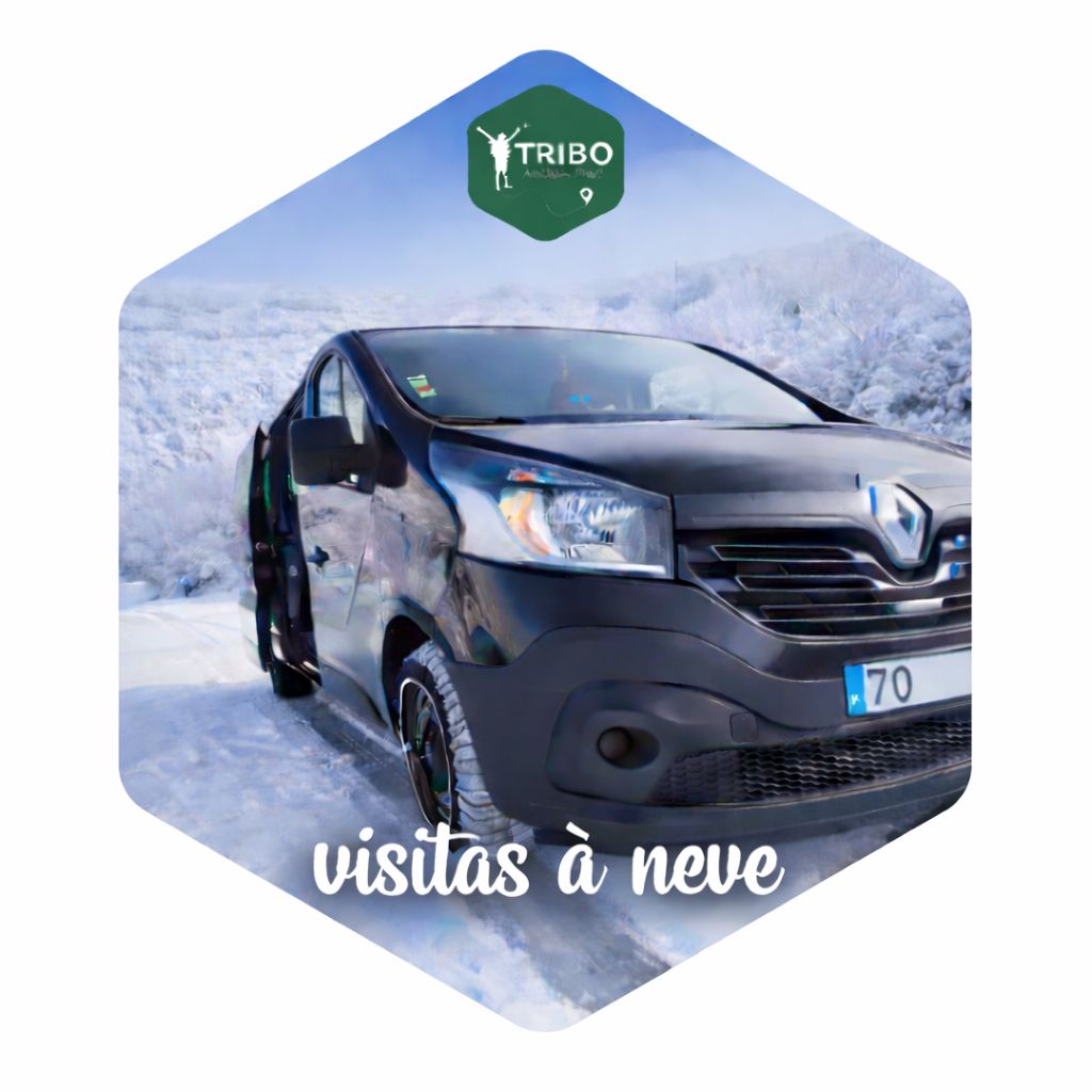 Serviços Contratados (Preços mediante orçamento) 