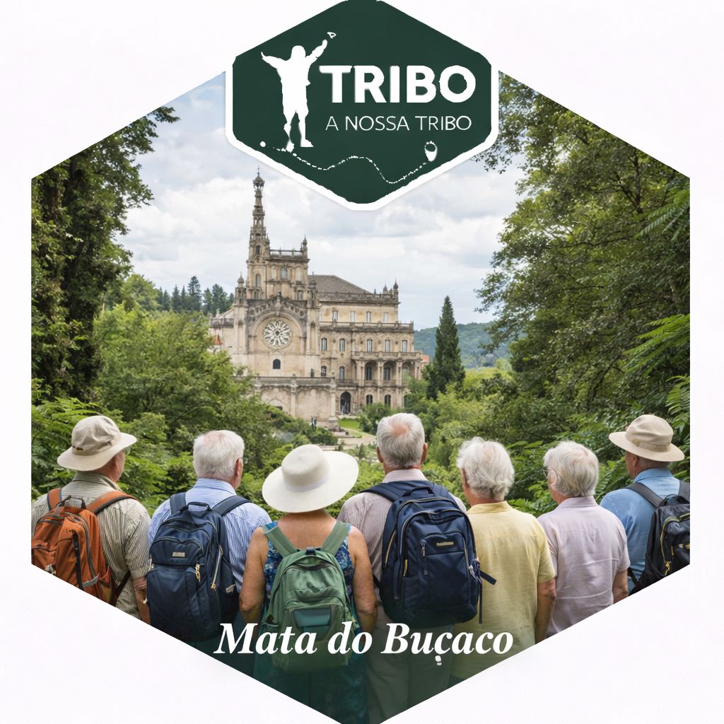 Luso e Mata do Buçaco (Almoço tudo incluído) 