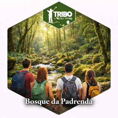 Bosque da Padrenda 7/6/2026