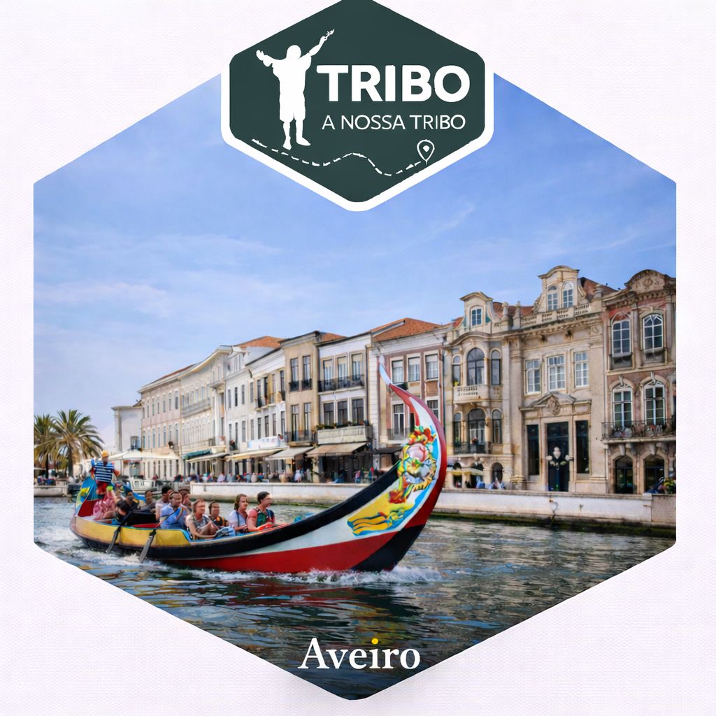 Aveiro -(Moliceiro e almoço incluído)