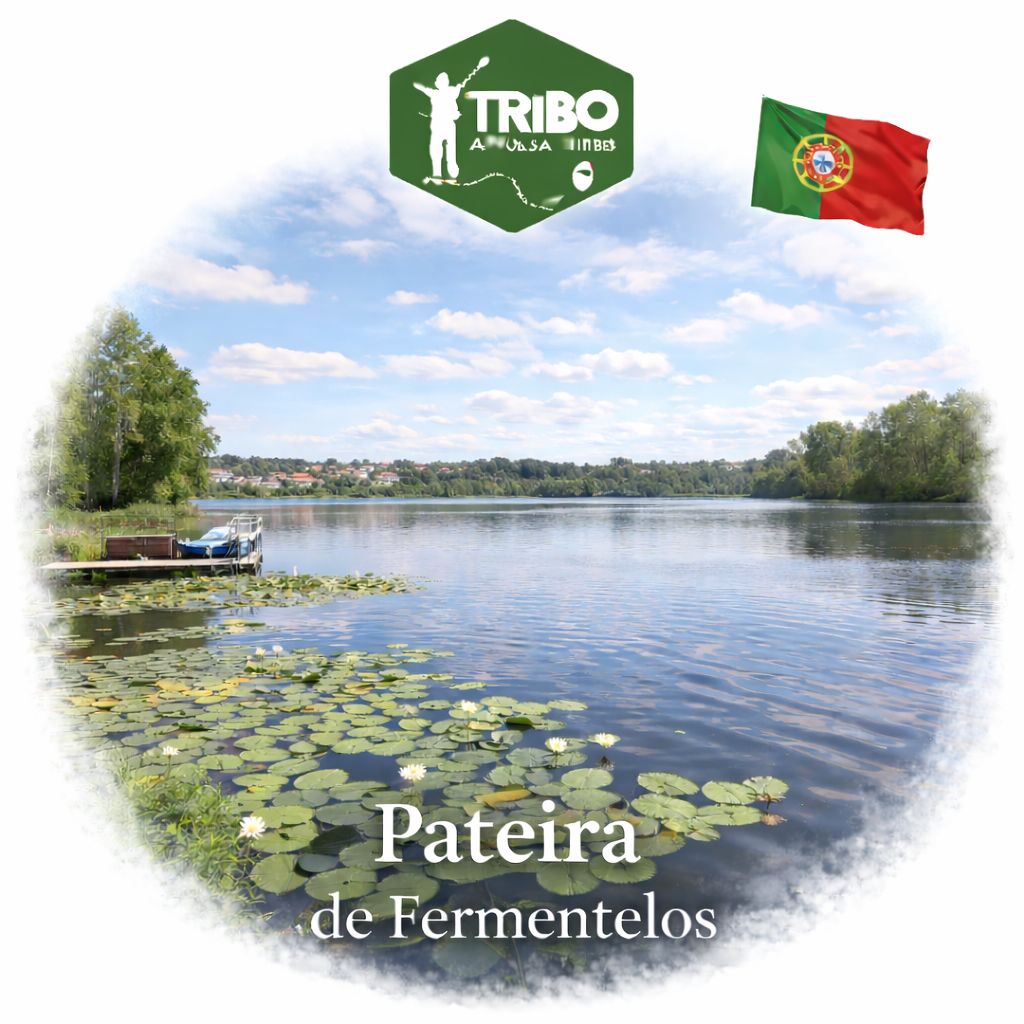 Pateira de Fermentelos e Aveiro (almoço incluído)