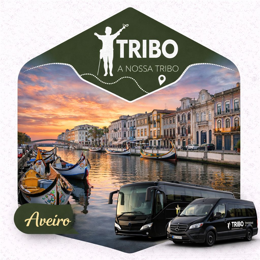 Pateira de Fermentelos e Aveiro (almoço incluído)