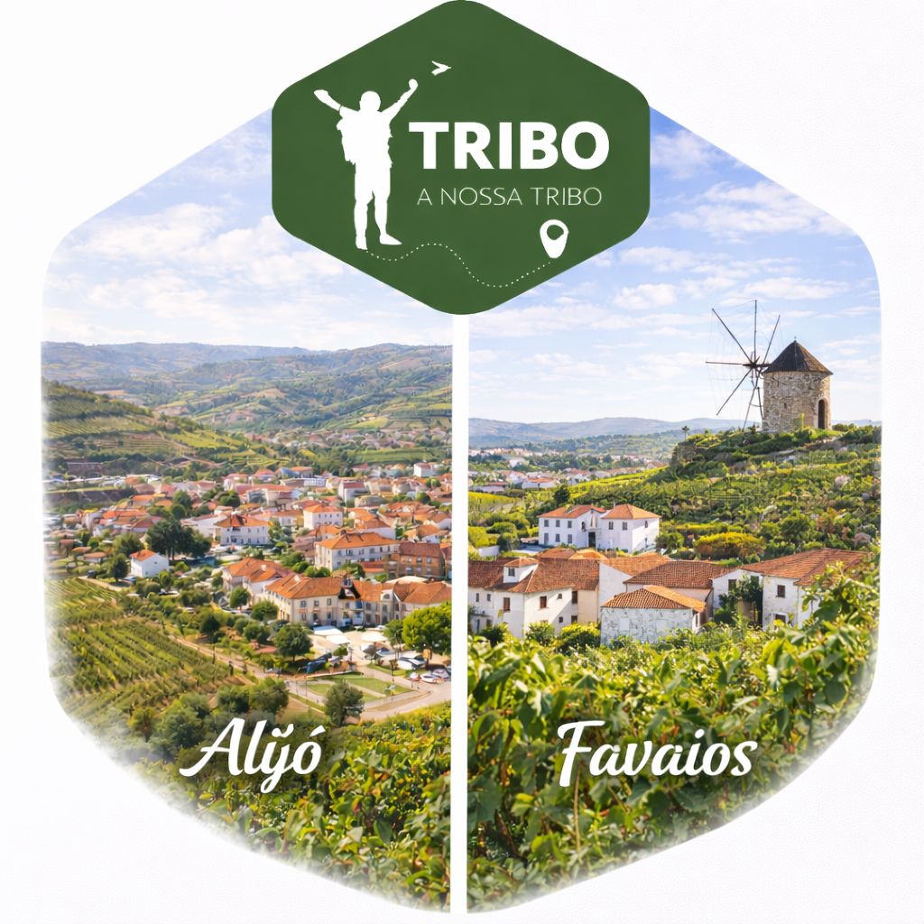 Circuito Alijó e Favaios 