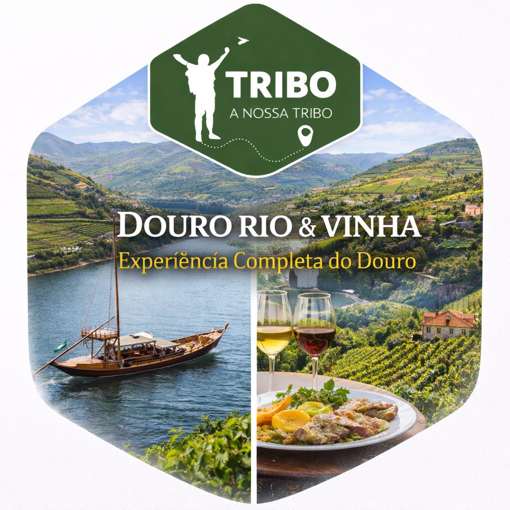 Circuito Douro Rio &amp; Vinha (Almoço tudo incluído)